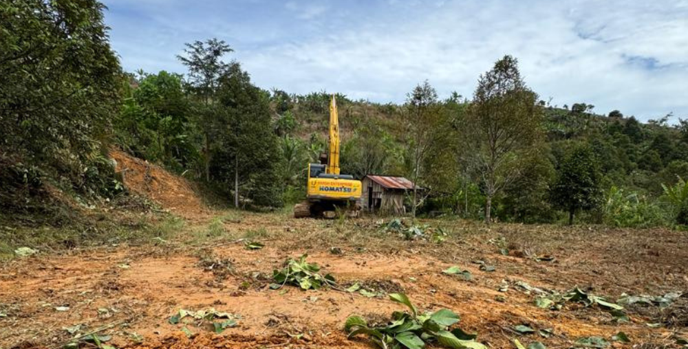 Organic farms avoid toxic inputs, improve soil health, grow clean, sustainable food that supports nature.