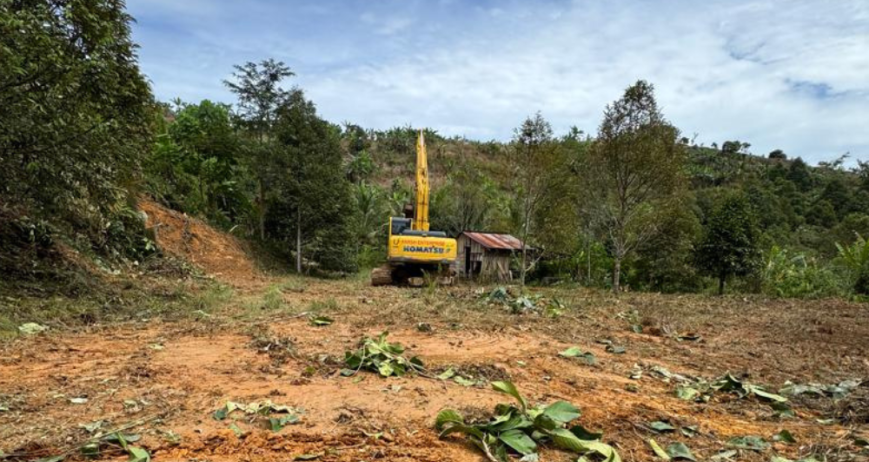 Organic farms avoid toxic inputs, improve soil health, grow clean, sustainable food that supports nature.