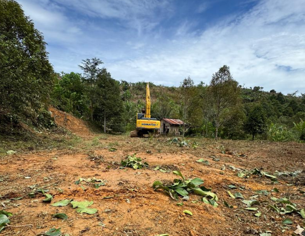 Organic farms avoid toxic inputs, improve soil health, grow clean, sustainable food that supports nature.