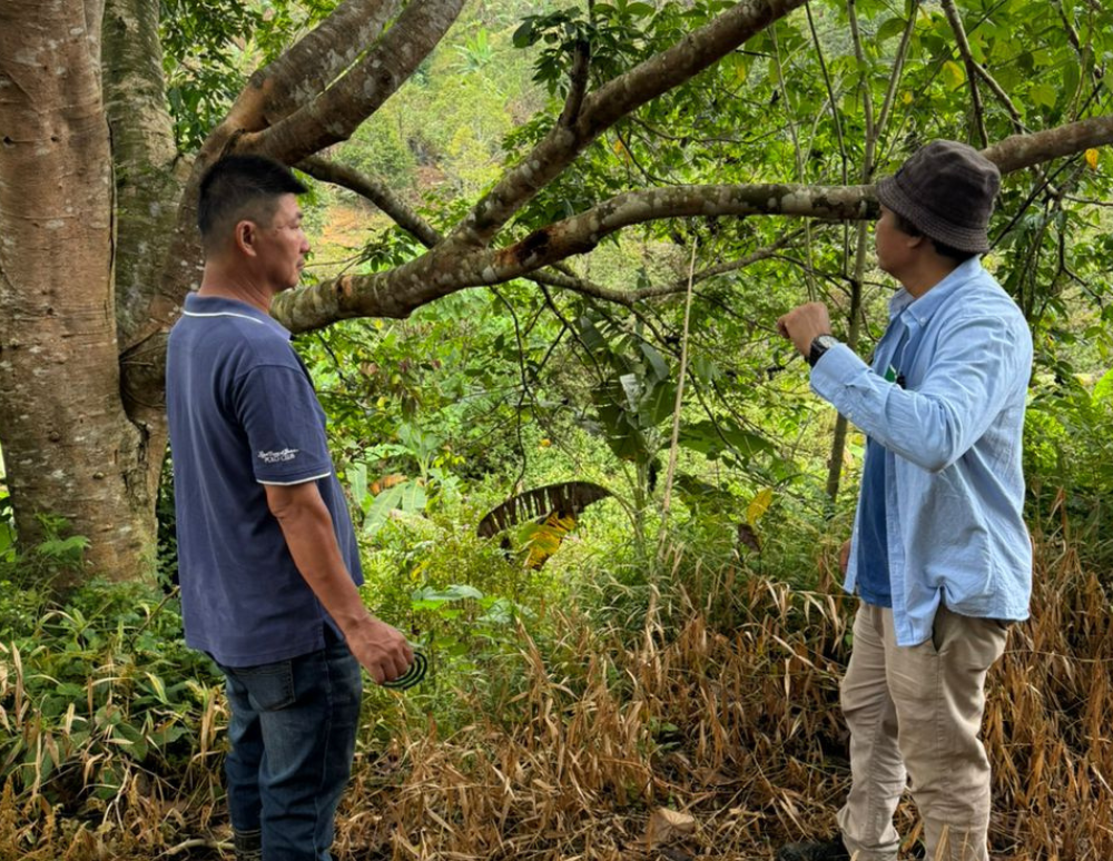 Organic farms avoid toxic inputs, improve soil health, grow clean, sustainable food that supports nature.