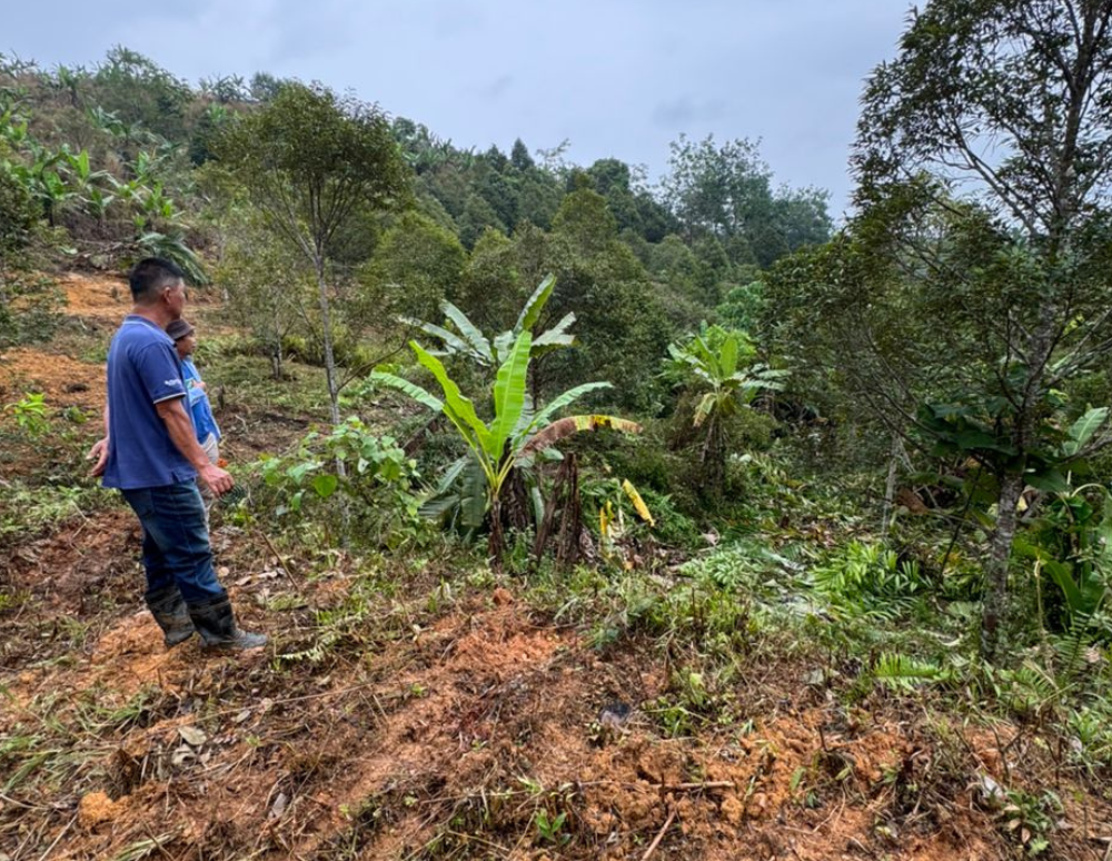 Organic farms avoid toxic inputs, improve soil health, grow clean, sustainable food that supports nature.