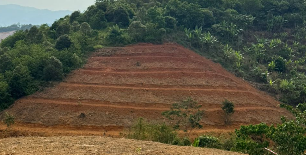 Organic farms avoid toxic inputs, improve soil health, grow clean, sustainable food that supports nature.