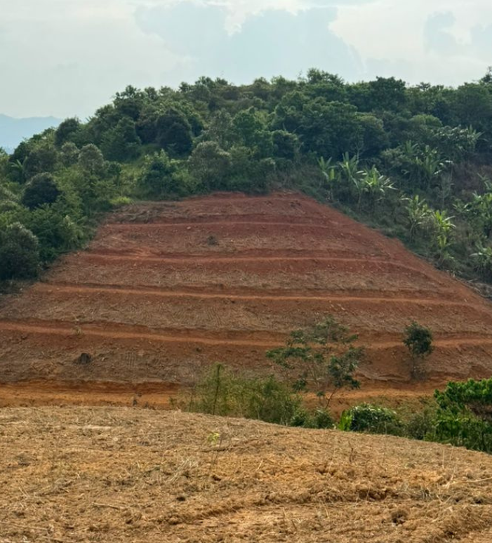 Organic farms avoid toxic inputs, improve soil health, grow clean, sustainable food that supports nature.