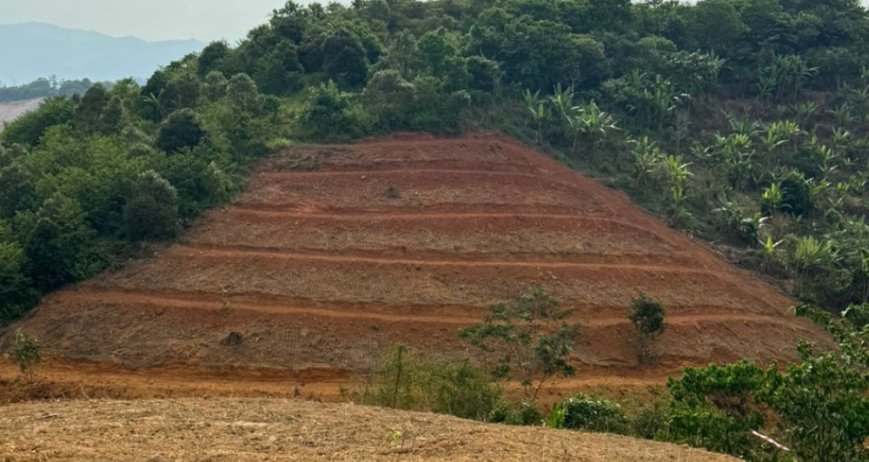 Organic farms avoid toxic inputs, improve soil health, grow clean, sustainable food that supports nature.