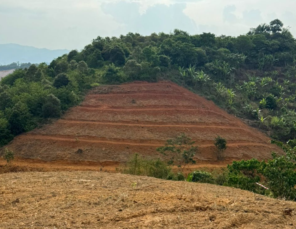 Organic farms avoid toxic inputs, improve soil health, grow clean, sustainable food that supports nature.