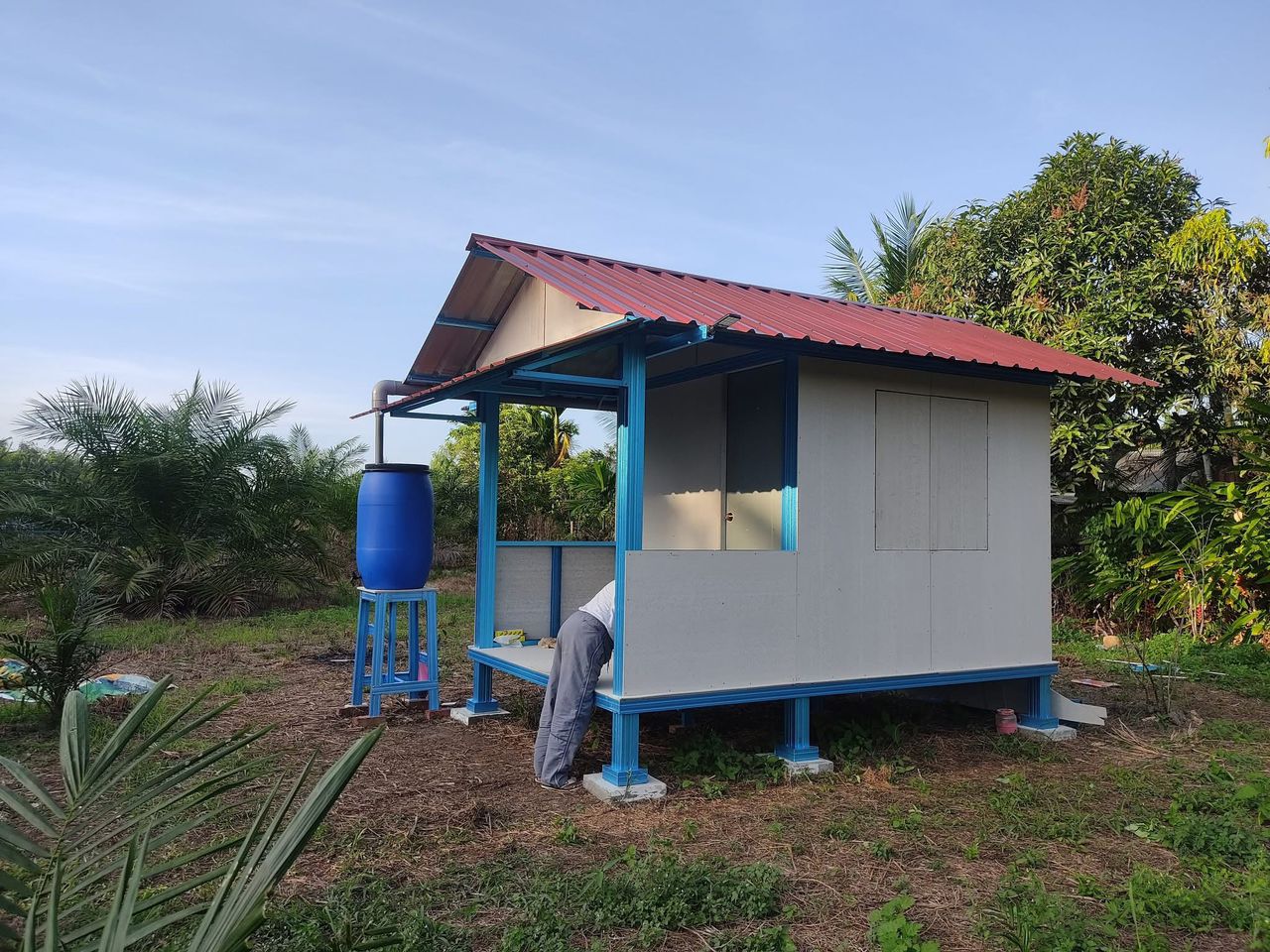 Organic farms avoid toxic inputs, improve soil health, grow clean, sustainable food that supports nature.