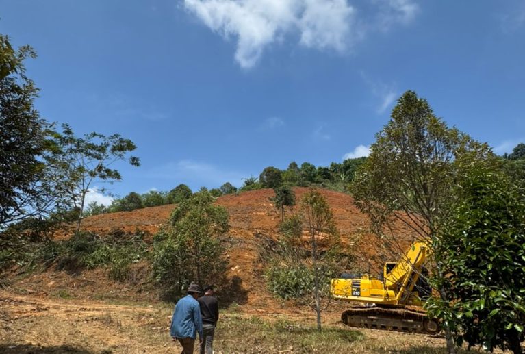 Durian plantations also benefit from rising property values, with land prices increasing 5–10x after development.