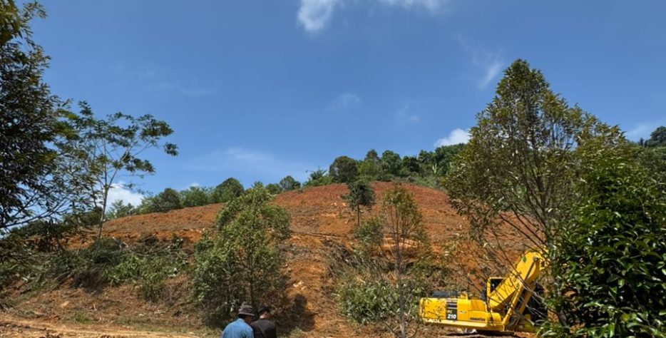 Durian plantations also benefit from rising property values, with land prices increasing 5–10x after development.