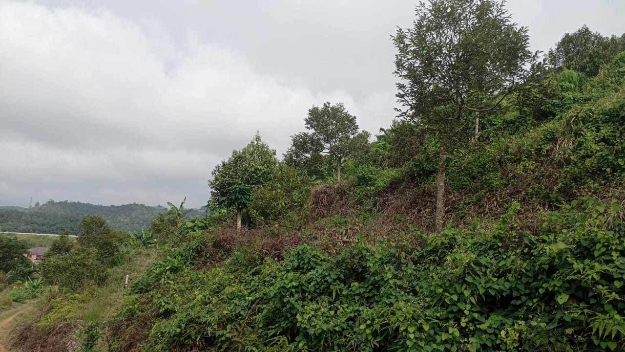 Organic farms avoid toxic inputs, improve soil health, grow clean, sustainable food that supports nature.