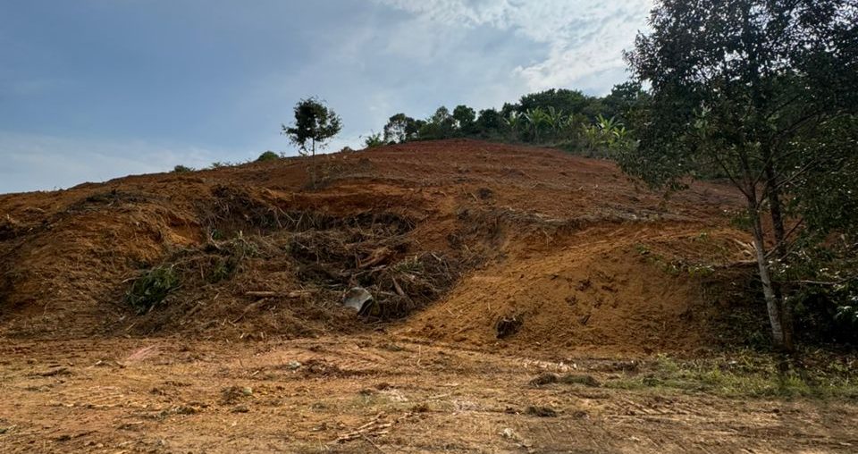 Organic farms avoid toxic inputs, improve soil health, grow clean, sustainable food that supports nature.