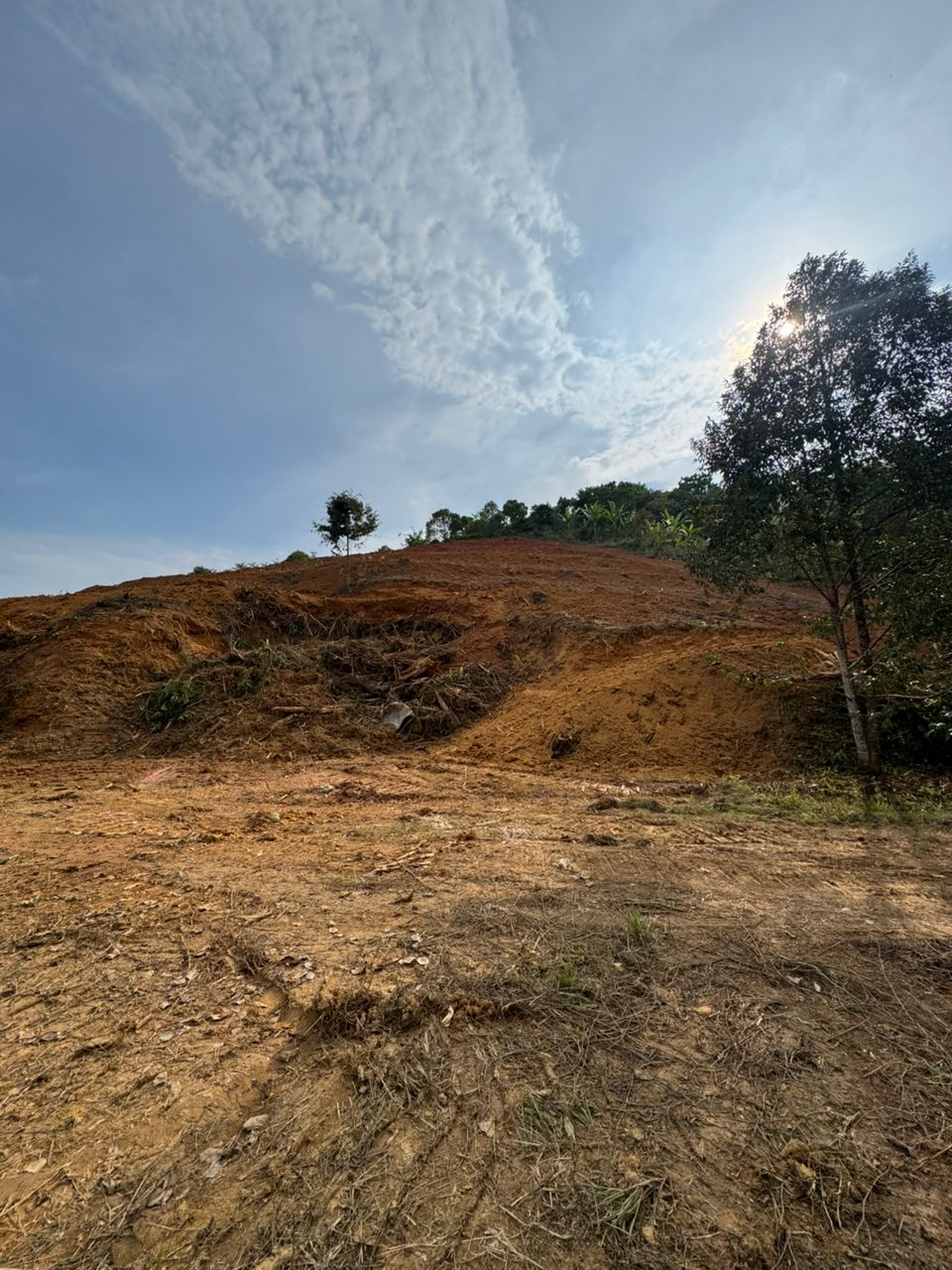 Organic farms avoid toxic inputs, improve soil health, grow clean, sustainable food that supports nature.